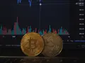 Small Cap Altcoins Just Doubled in a Week. Here Is Which Ones Have Something Real Behind Them